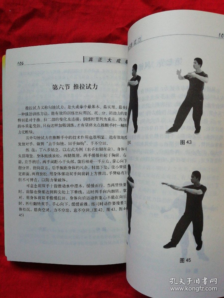 真正大成拳(作者师从王选杰,附王选杰演示照片30多幅)