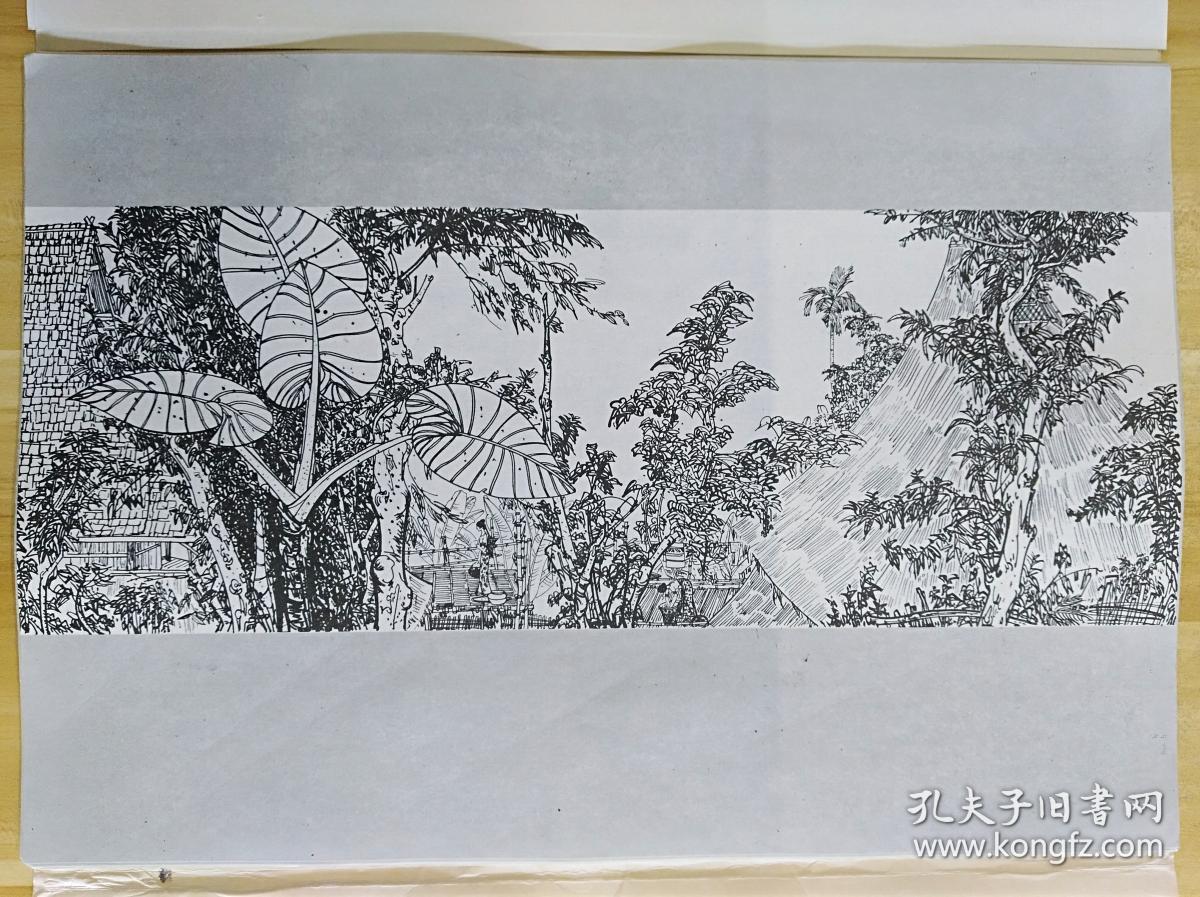 《丁绍光—西双版纳白描写生集》·内有约20多幅全·有长幅折页·详见