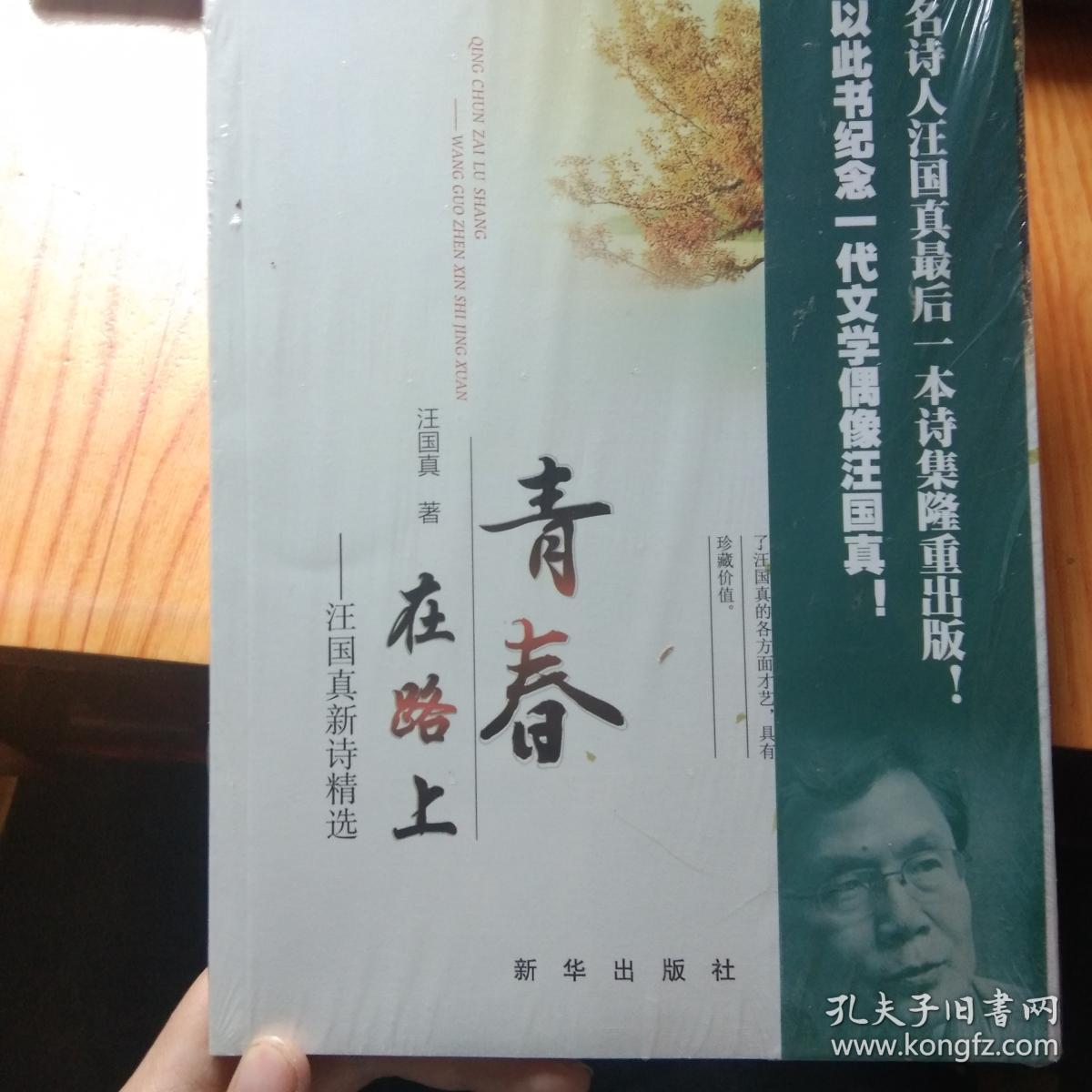青春在路上:汪国真新诗精选