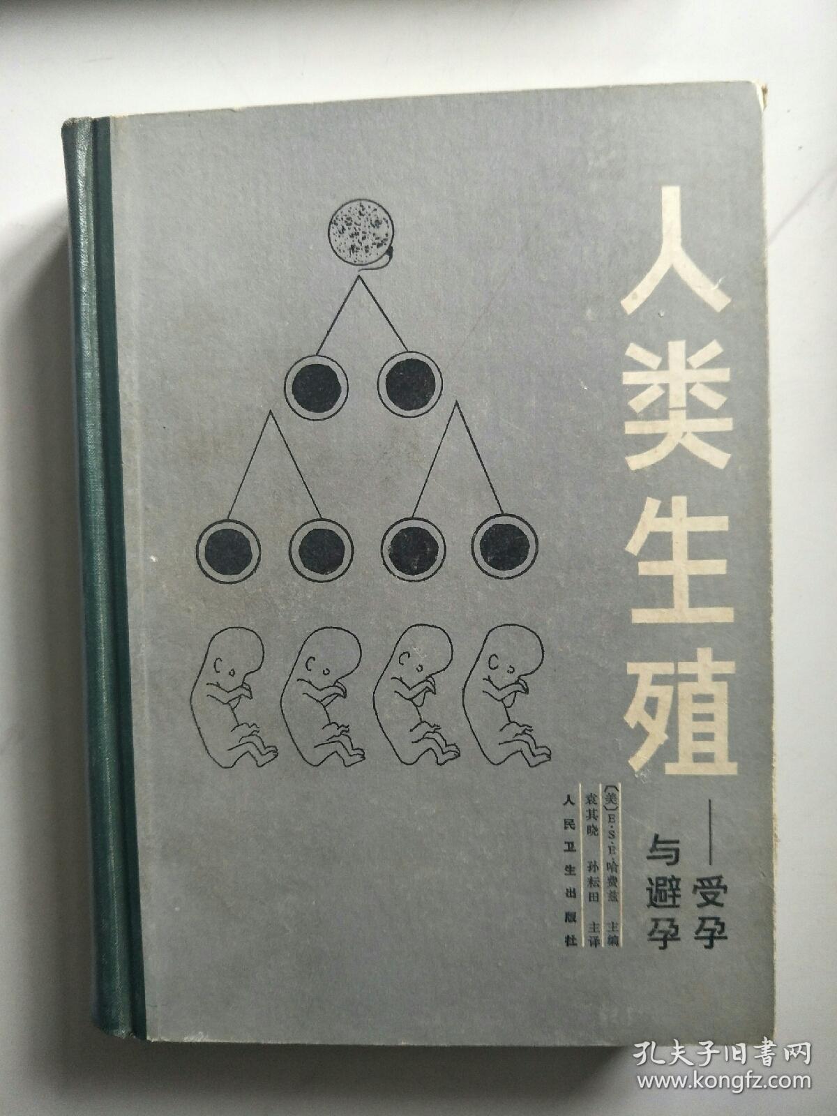 人类生殖 受孕与避孕