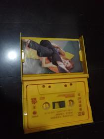 磁带 李玟【想你的365天】 有歌词纸