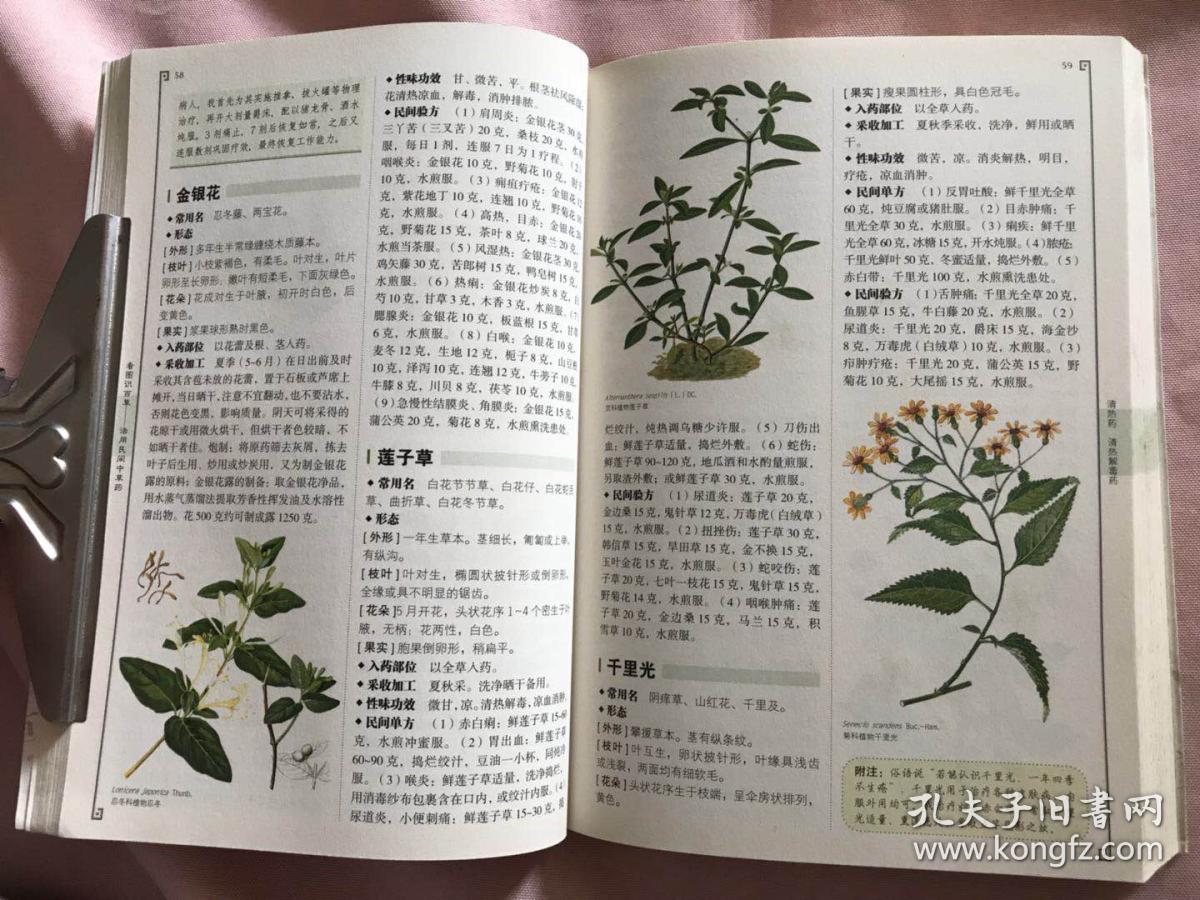 看图识百草—活用民间中草药