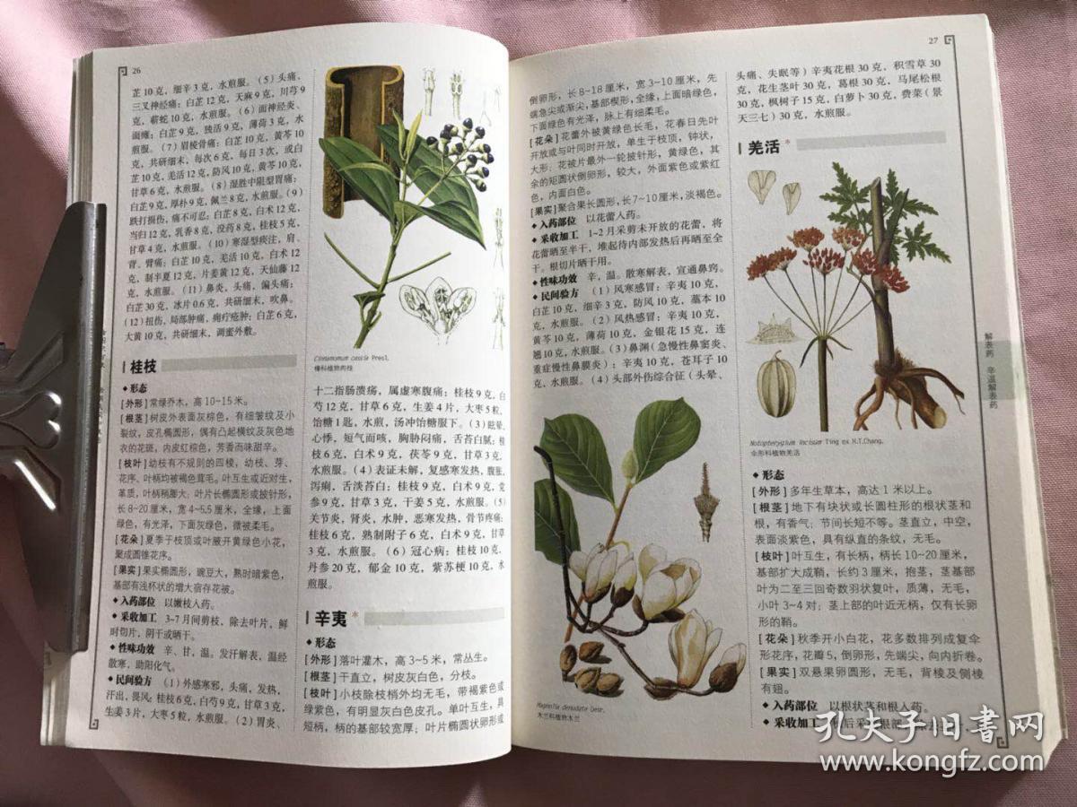 看图识百草—活用民间中草药