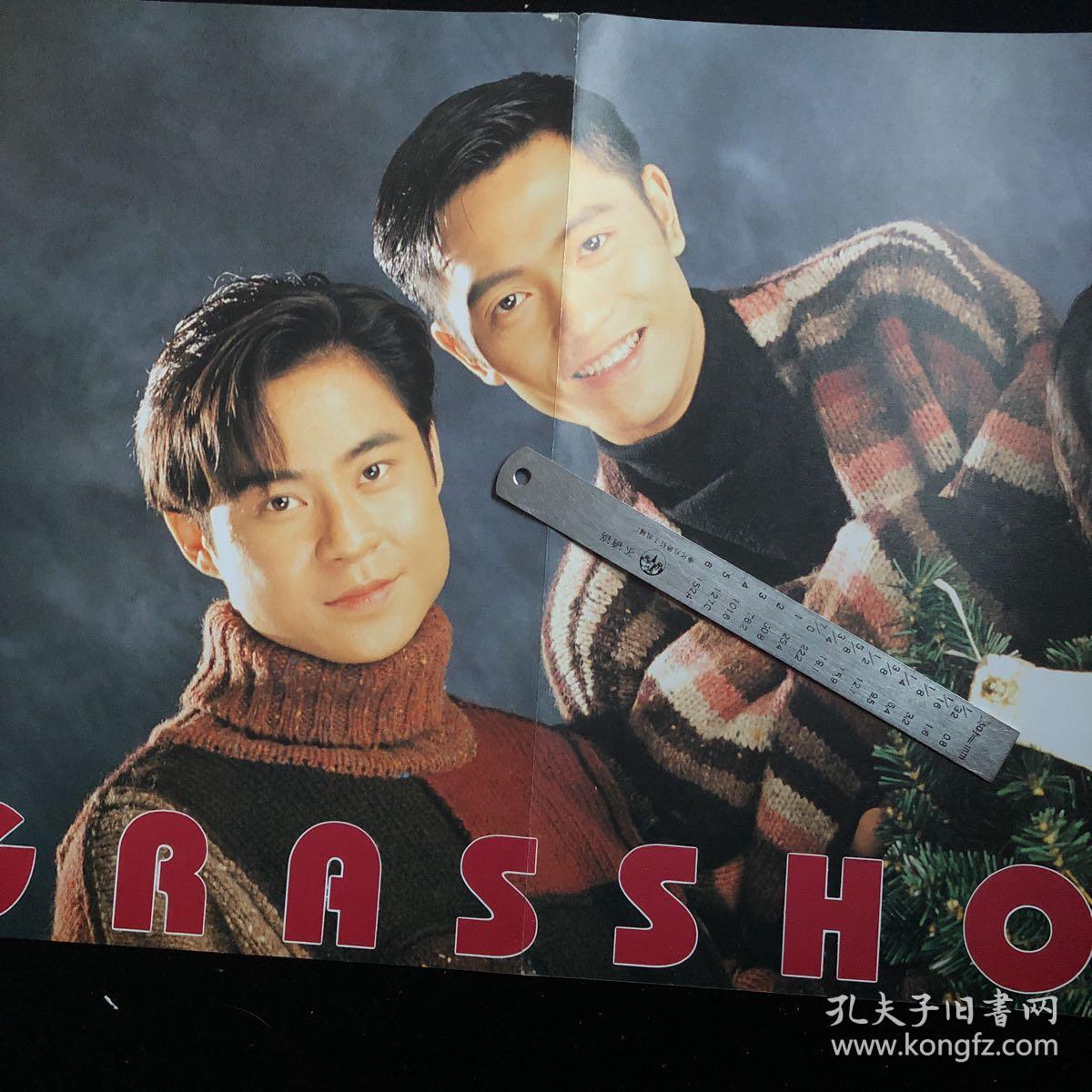 草蜢彩页超大,草蜢海报
