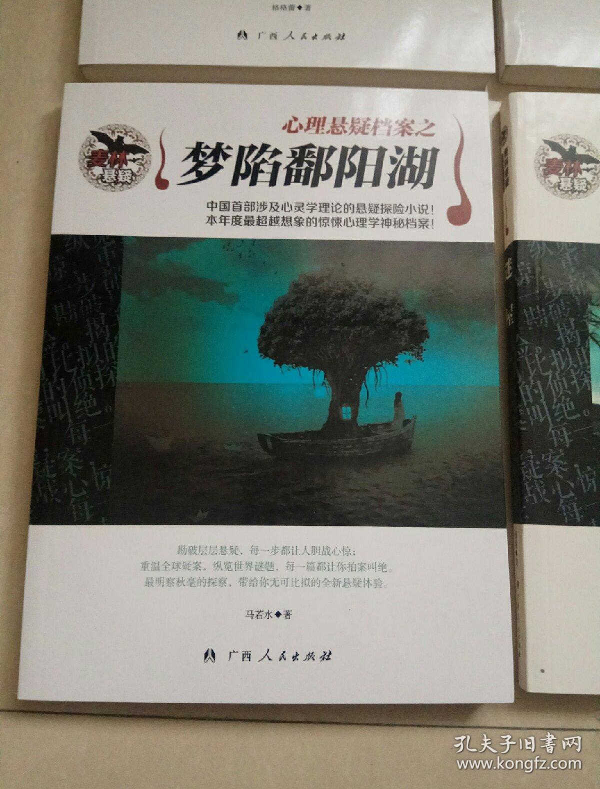原书正版现货〕麦林悬疑:圣烛下的暗影   心中有诡