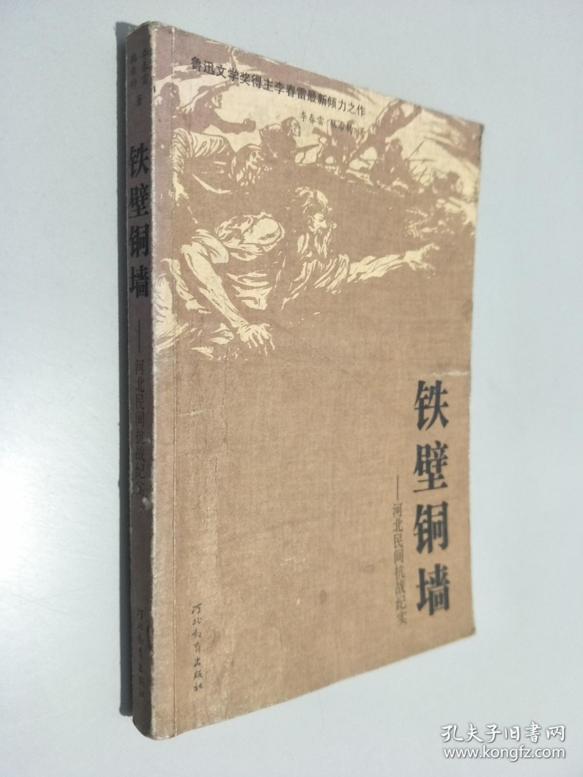 《铁壁铜墙:河北民间抗战纪实》