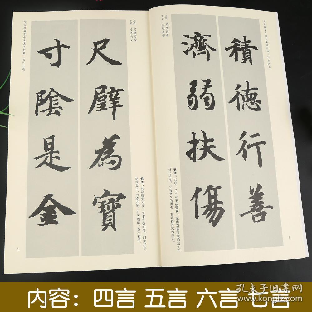 智永楷书千字文集字对联 中国历代名碑名帖集字系列丛书 陆有珠 毛笔