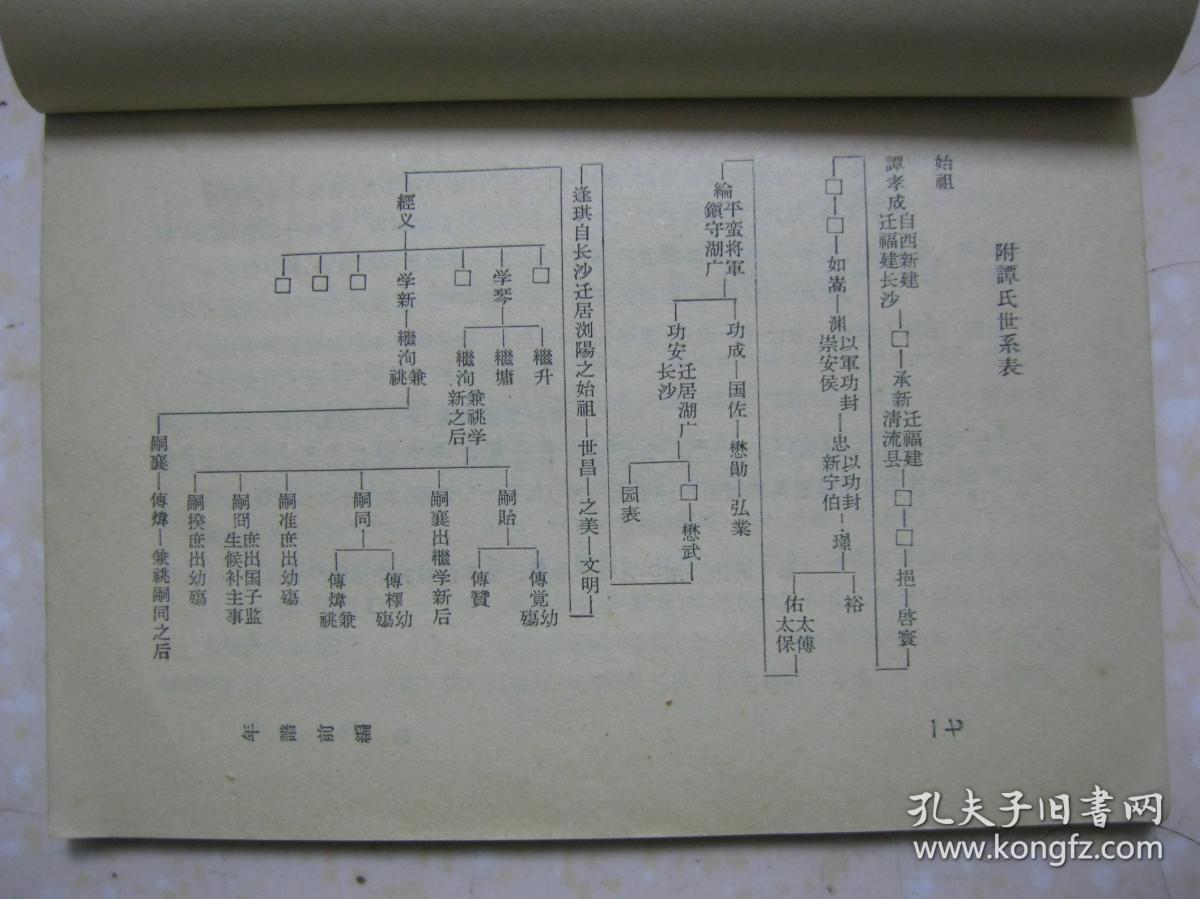 谭嗣同年谱内容有序例年谱前编生平简历家世和家庭附谭氏世系表年谱