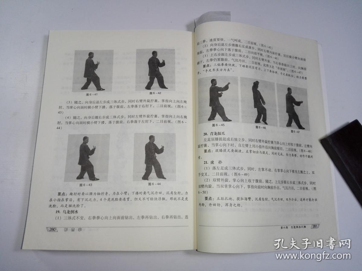形意拳 十二形精典套路