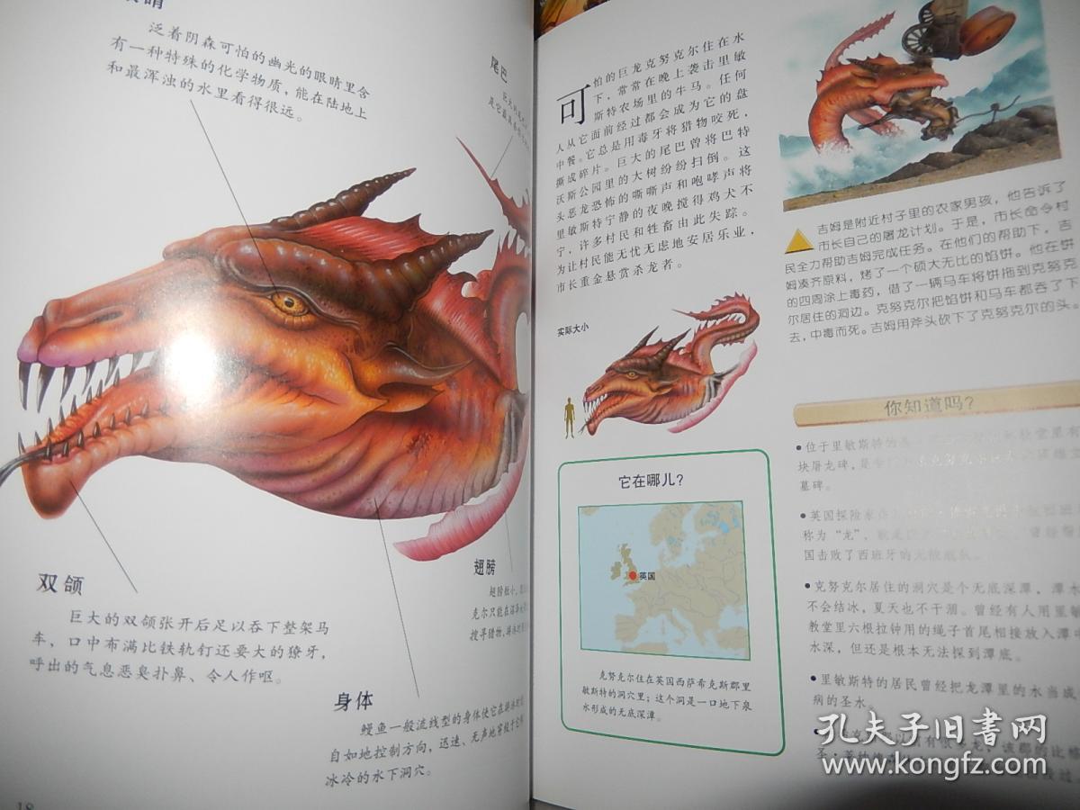 怪物传说:龙和大蛇