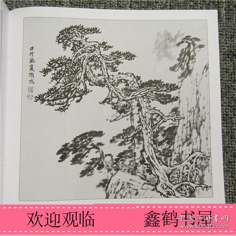 黄山松百态实用白描画稿稿天津杨柳青12开本白描松树画国画技法