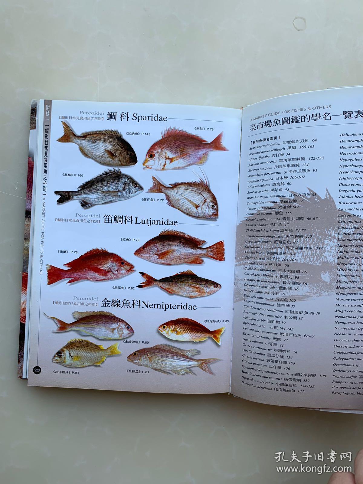 菜市场鱼图鉴(大32开软精装有护封,铜版纸彩印,一版一印)