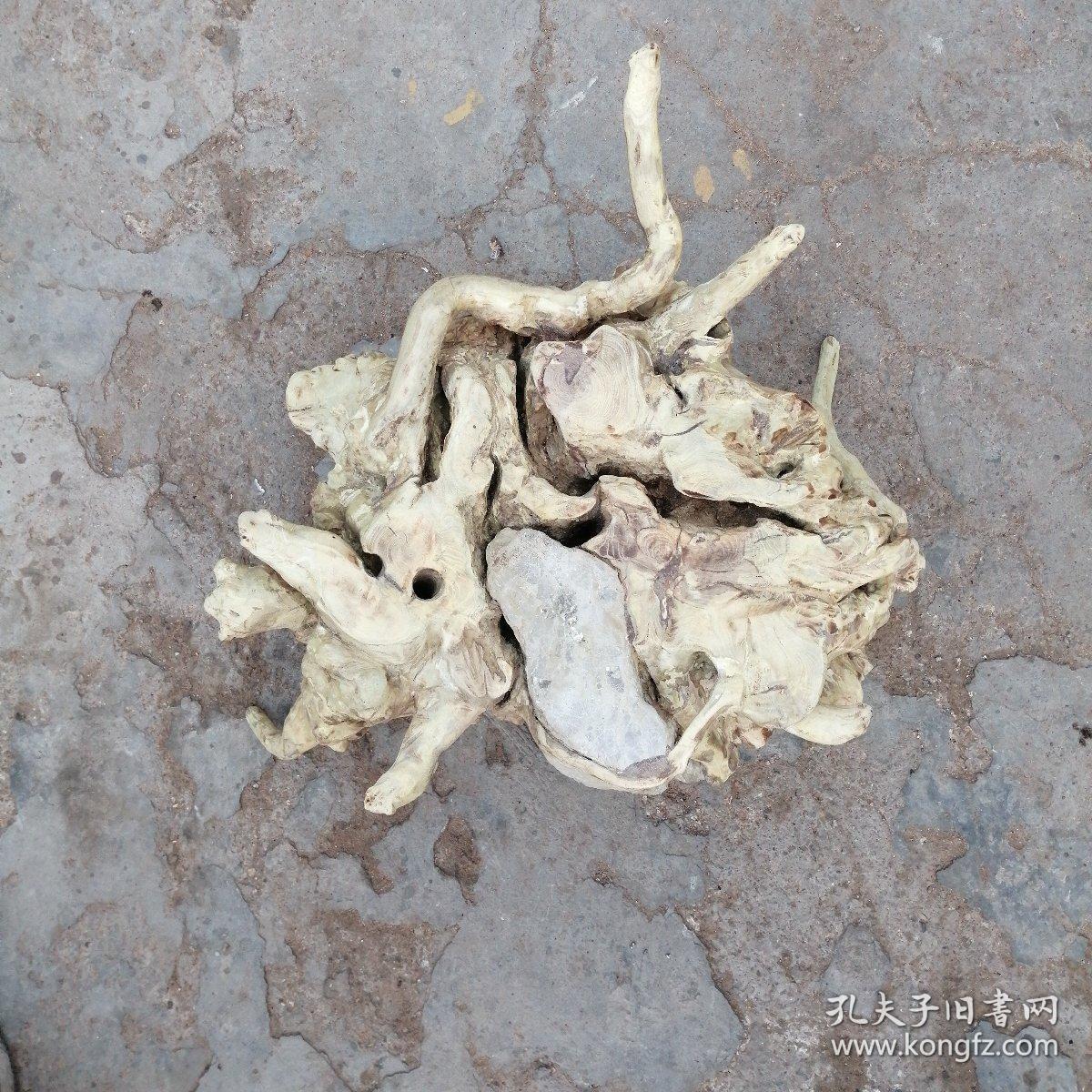 荆条根抱石