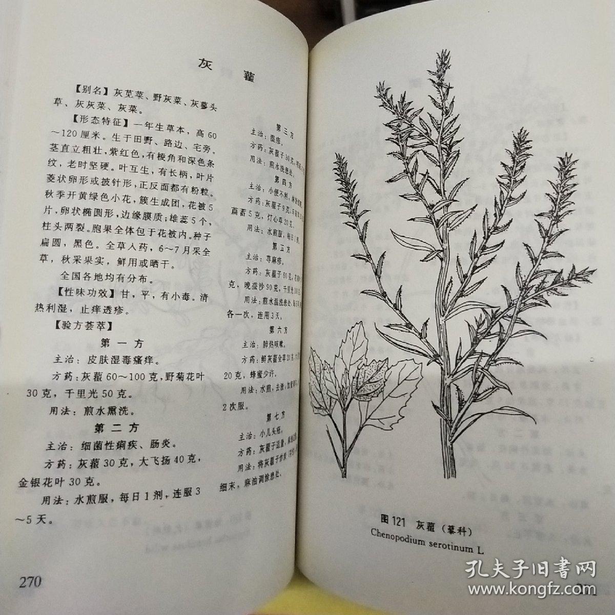古今民间百草秘方大全 (上下)