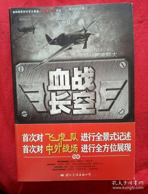 血战长空