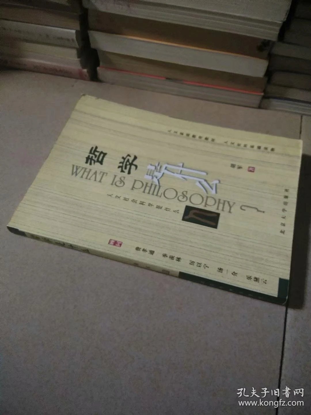 人文社会科学是什么丛书:哲学是什么