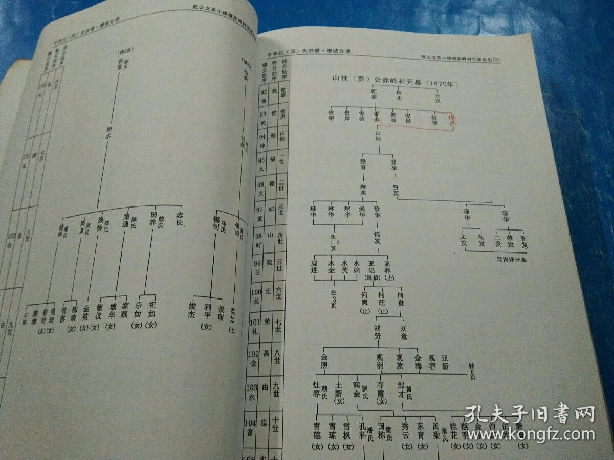 旧复印品 收回来就是了◇邱氏,族谱,家谱,广东广州增城县增城市区