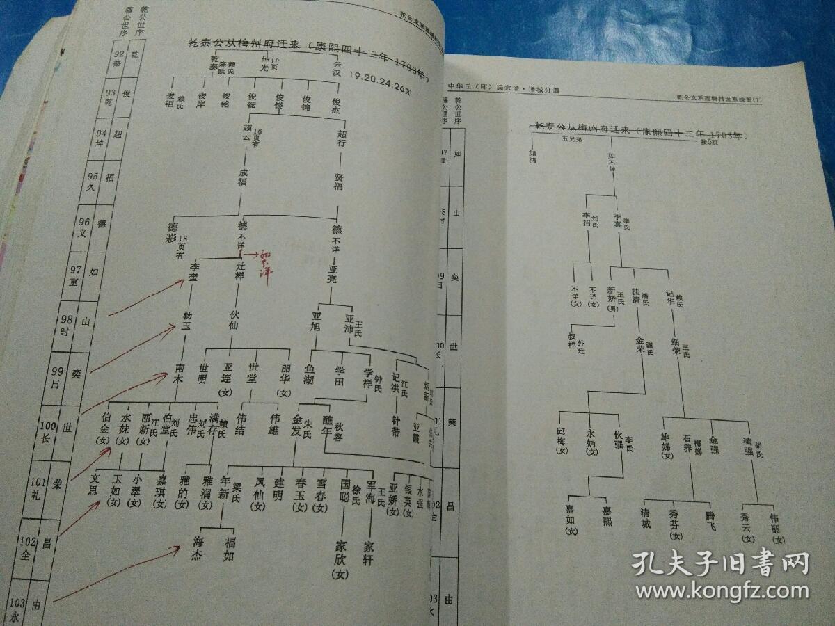 旧复印品 收回来就是了◇邱氏,族谱,家谱,广东广州增城县增城市区