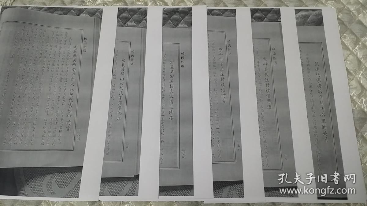 杨氏族谱 ( 山西代县杨忠武祠编 )(复印件)