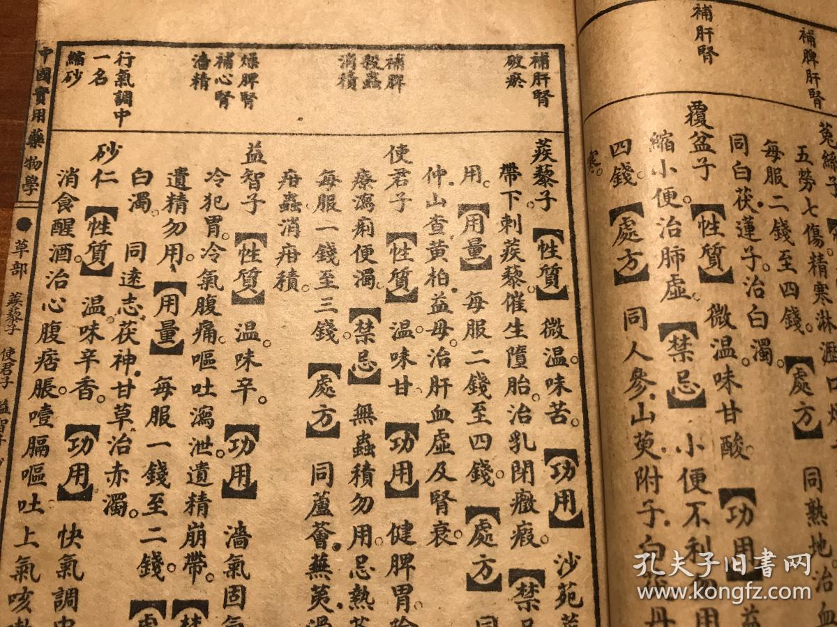 中医药古书古医书中药草药书珍本:民国精印《中国实用药物学》上下卷