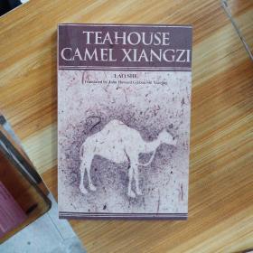 Teahouse  camel   xlangzi