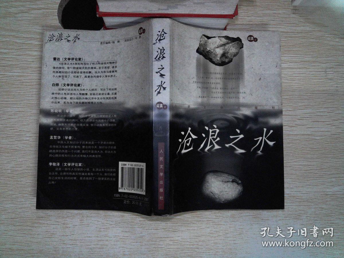 沧浪之水(阎真 著)