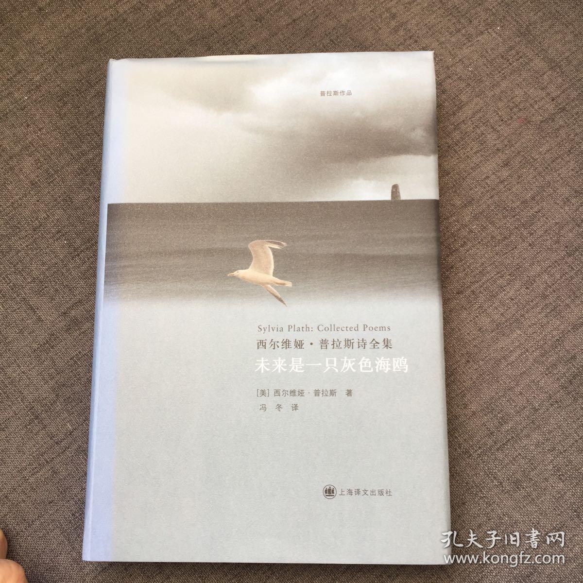 未来是一只灰色海鸥:西尔维娅·普拉斯诗全集