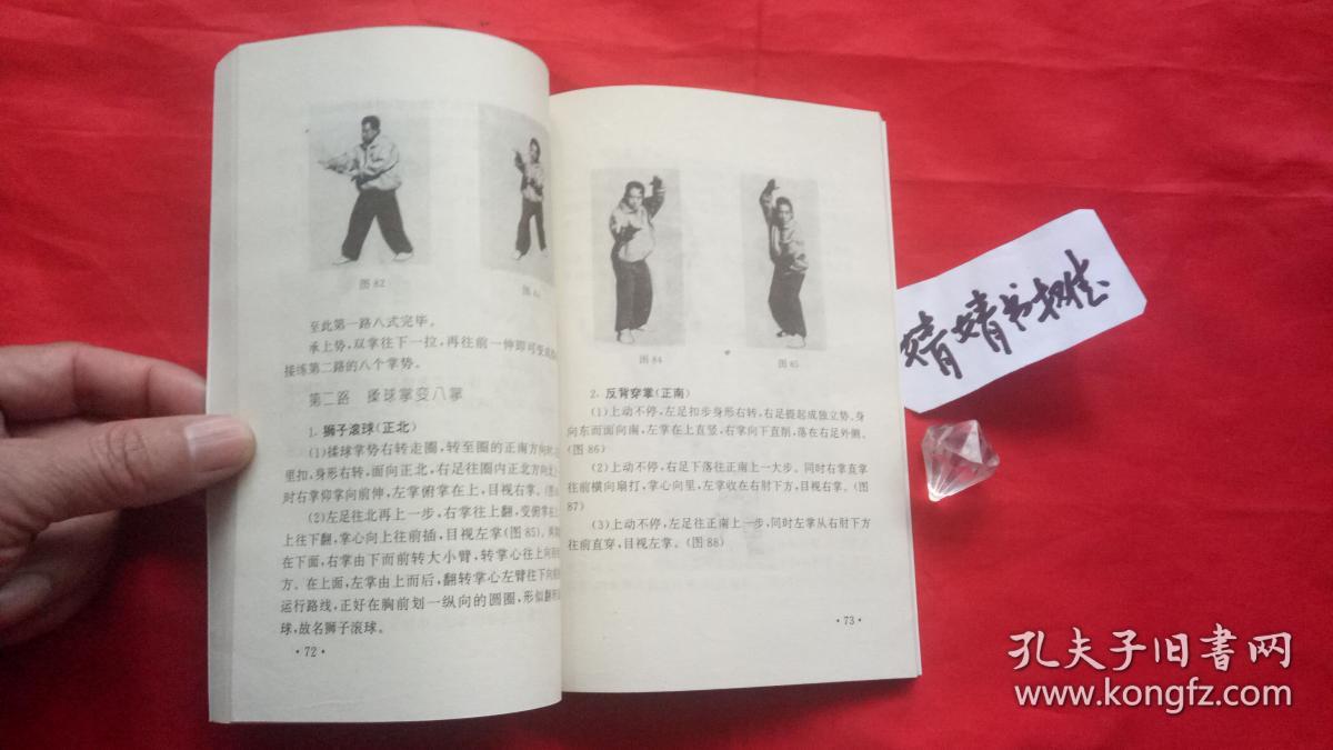 九宫八卦连环掌(正版/形意拳,太极.