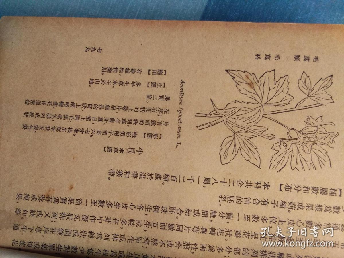 中国植物图鉴 详情见图 书页面到799页面