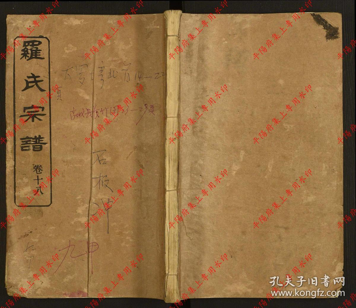湖北新洲 罗氏宗谱 族谱 家谱 家乘(复印本)