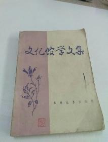 文化馆学文集