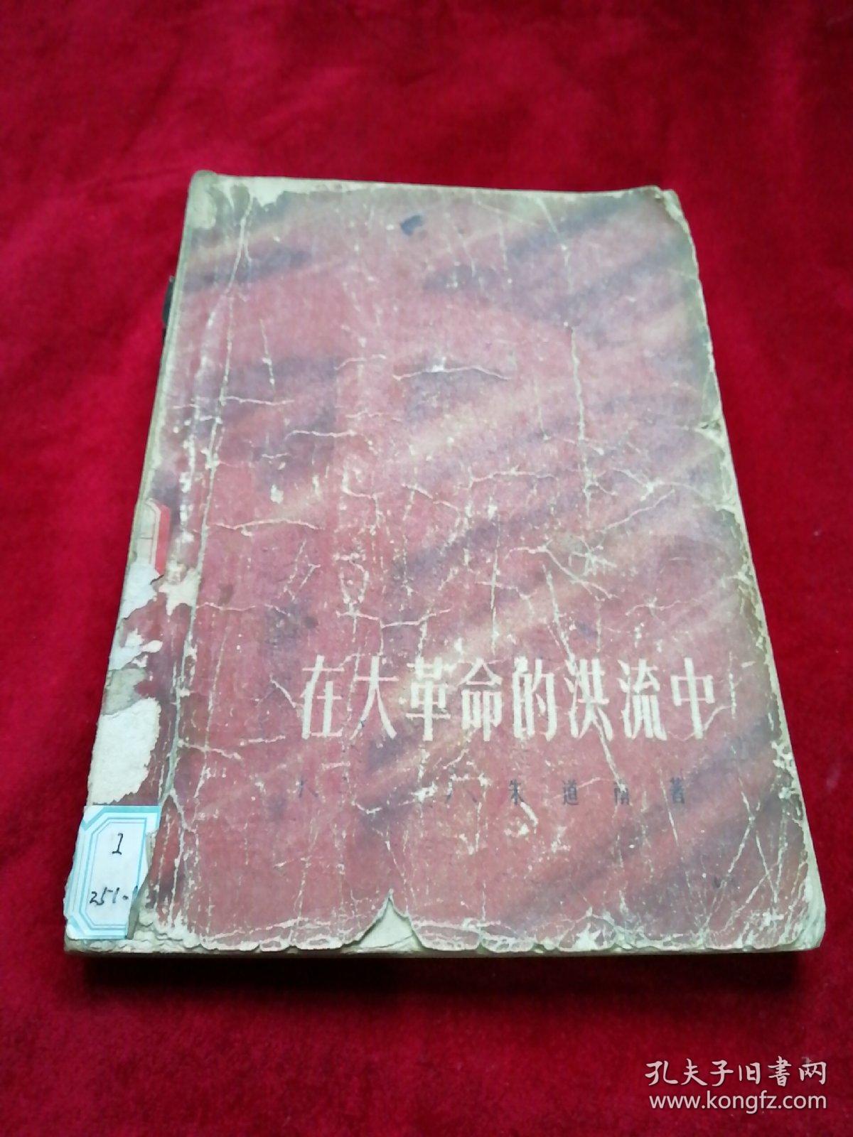 在大革命的洪流中