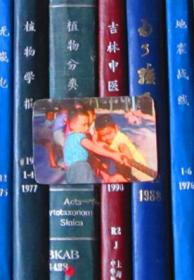 年历片-1973年：拔河（上海书画社）【一张】