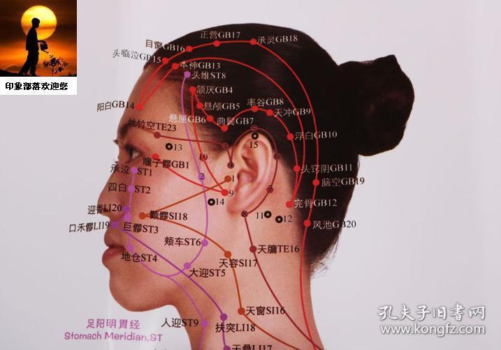 男性真人版女性真人版(共2册) 大图解经络穴位针灸按摩大全 古典中医