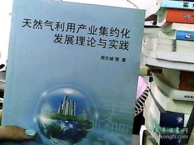 天然气利用产业集约化发展理论与实践