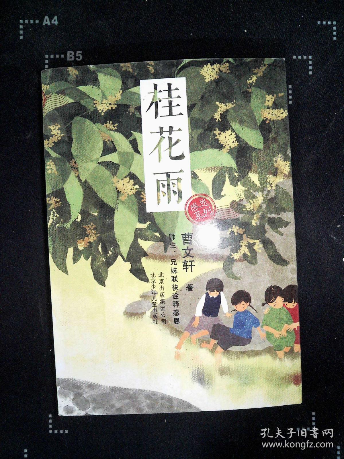 桂花雨