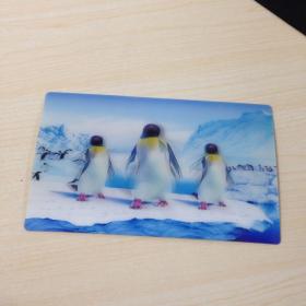 动画片 企鹅  3D 明信片，