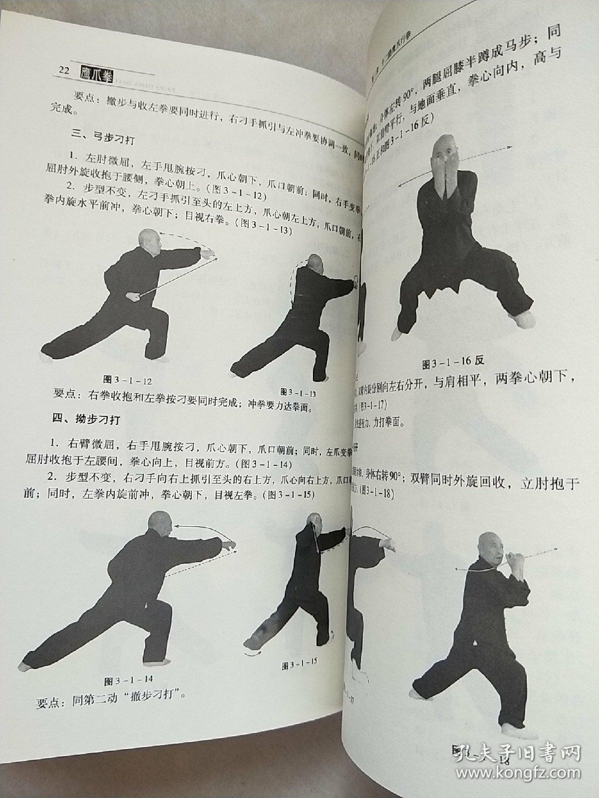 鹰爪拳(中国功夫经典) 插图版 一版一印