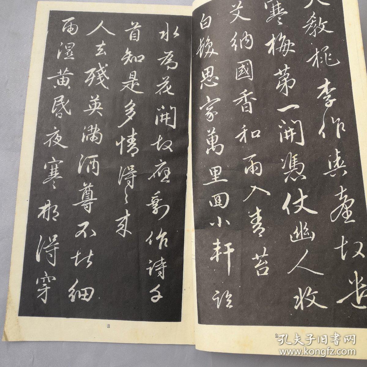 赵孟頫行书梅花诗