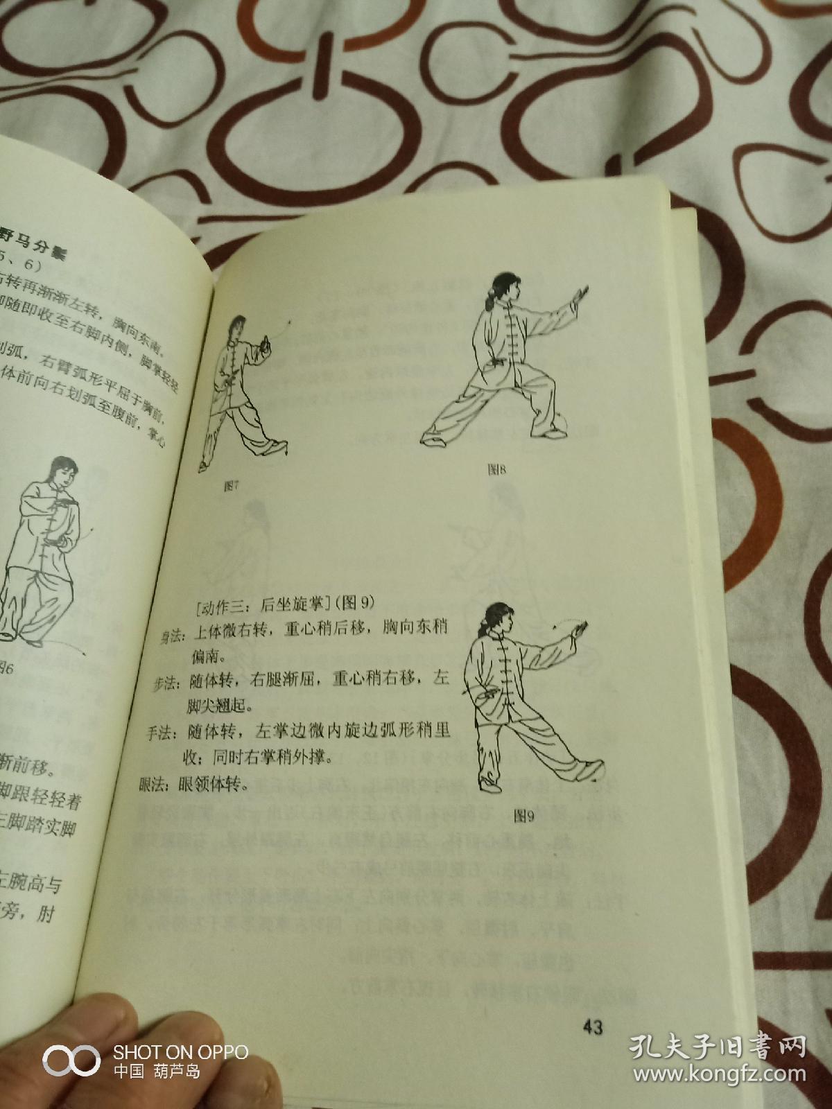 《中国武术段位制·太极拳类辅导丛书:八式太极拳(一段)十六式太极拳