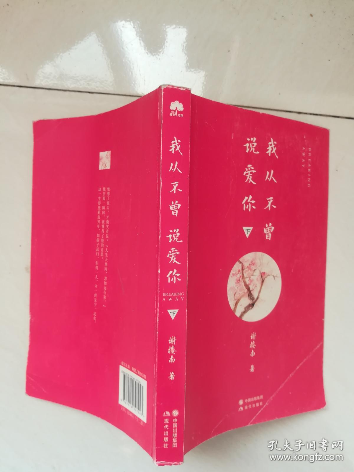 我从不曾说爱你