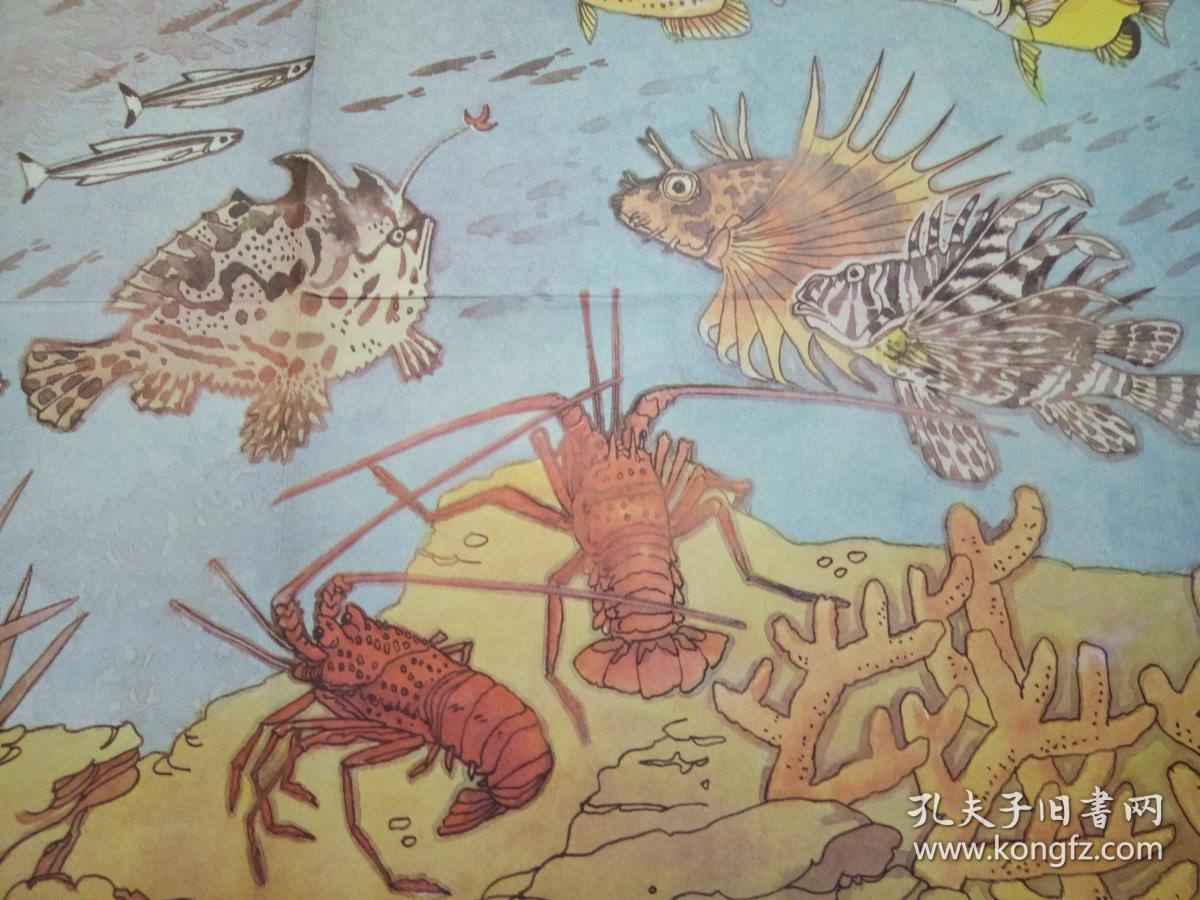 八十年代教学挂图,【富饶的西沙群岛】,品相好.