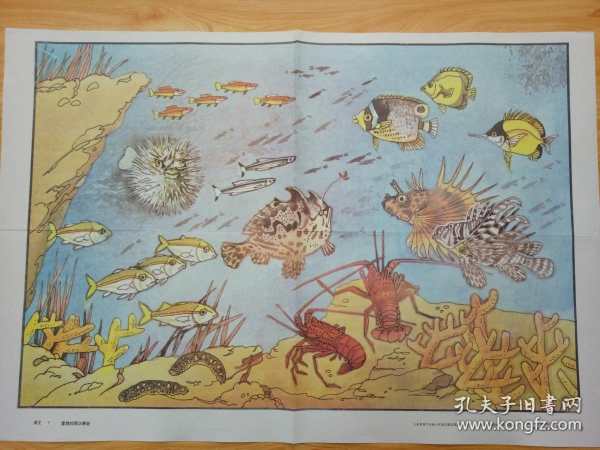 八十年代教学挂图,【富饶的西沙群岛】,品相好.