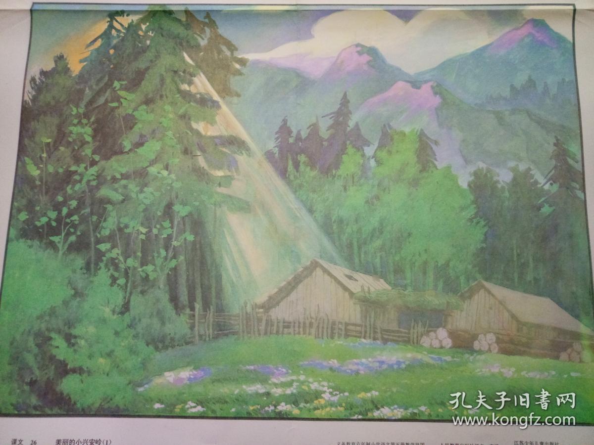 八十年代教学挂图,【美丽的小兴安岭】,2张一起,品相好.
