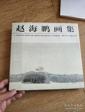 赵海鹏画集