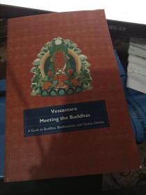 VESSANTARA  MEETING BUDDHAS