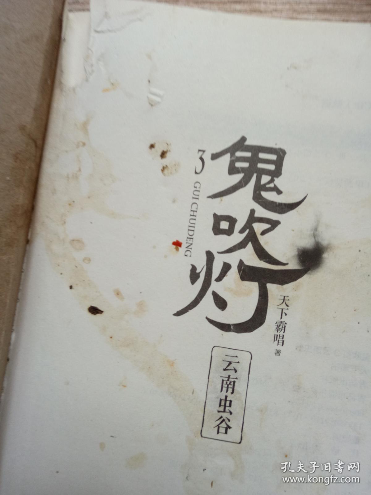 鬼吹灯3:云南虫谷