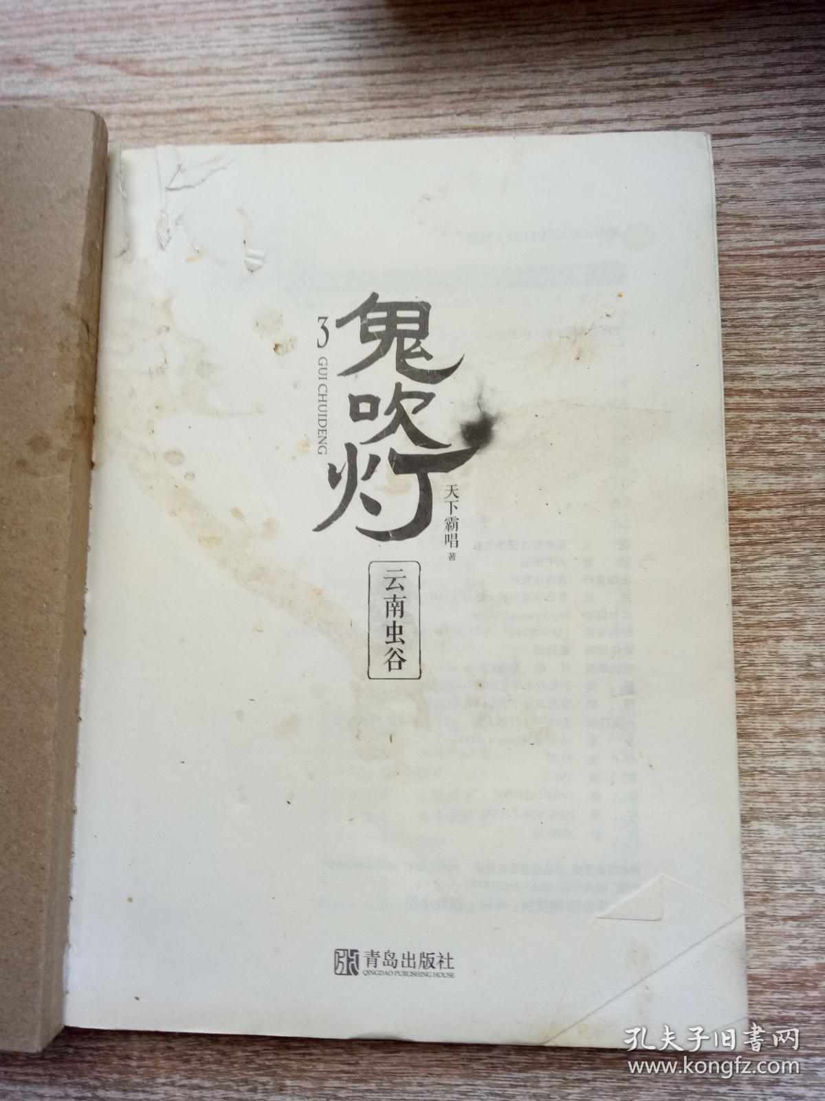 鬼吹灯3:云南虫谷