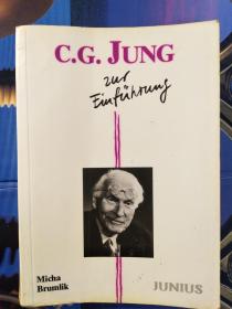 C.G.Jung zur Einführung