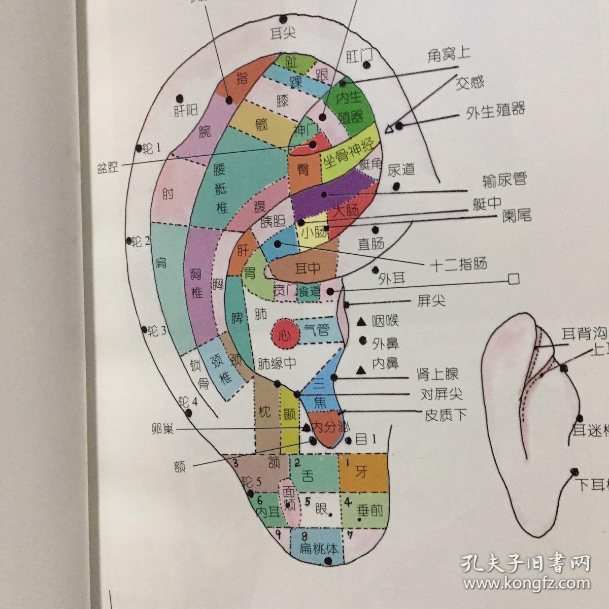耳穴按摩图解